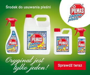 Pleśń w domu – cichy wróg, którego nie możesz ignorować